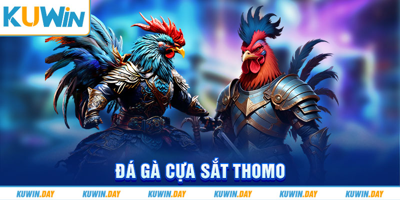 đá gà cựa sắt thomo