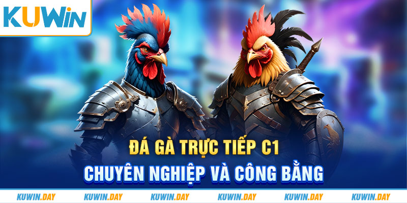 Đá gà trực tiếp C1 chuyên nghiệp và công bằng