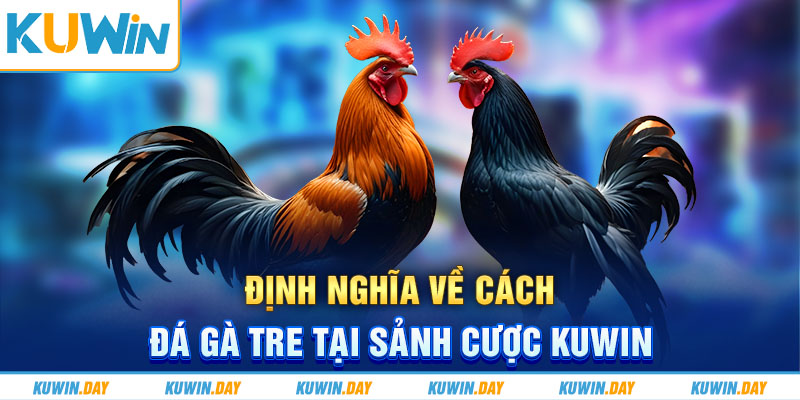 Định nghĩa về cách đá gà tre tại sảnh cược Kuwin