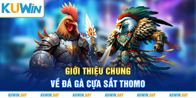 Giới thiệu chung về đá gà cựa sắt Thomo