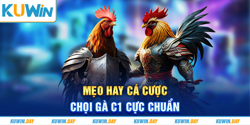 Mẹo hay cá cược chọi gà C1 cực chuẩn