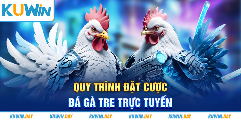 Quy trình đặt cược đá gà tre trực tuyến