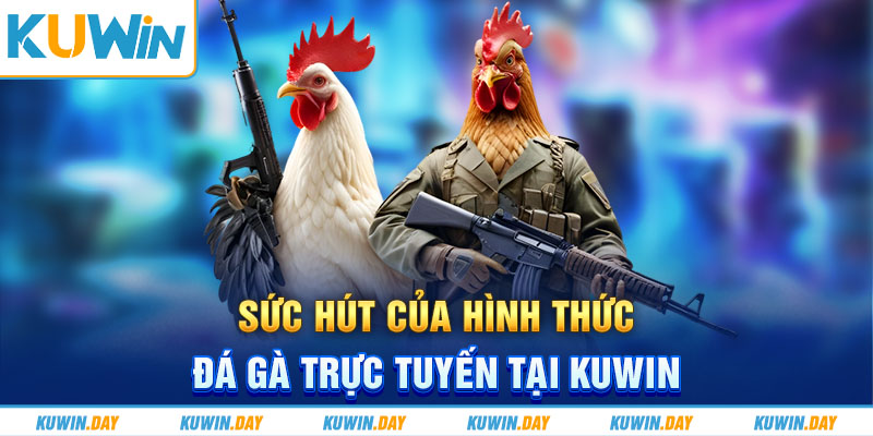 Sức hút của hình thức đá gà trực tuyến tại KUWIN